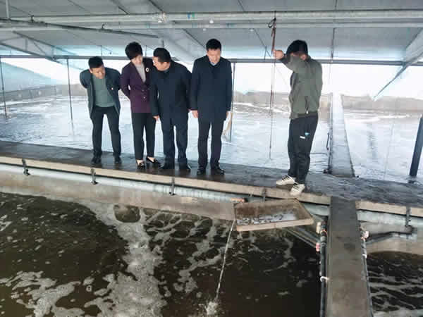 新聞=縣政府王縣長(zhǎng)等各級(jí)領(lǐng)導(dǎo)一行，蒞臨我司指導(dǎo)檢查生態(tài)循環(huán)養(yǎng)殖工作04.jpg