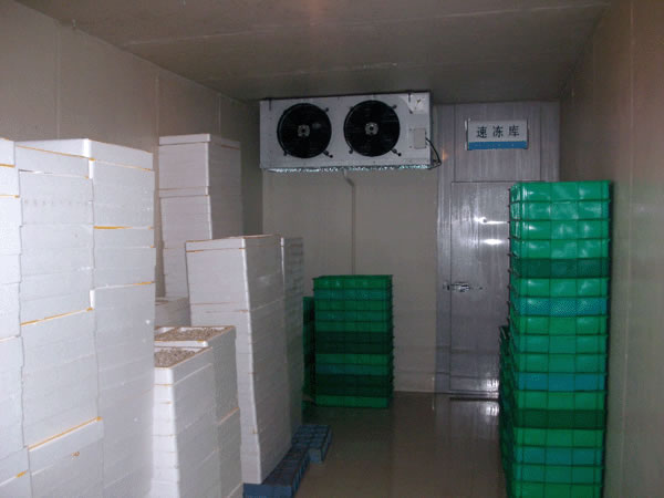 速凍庫(kù)