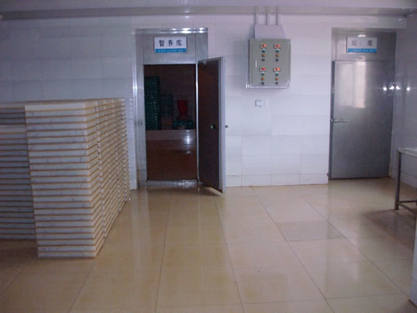 暫養(yǎng)庫(kù)