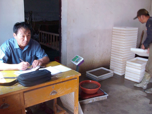 收購(gòu)現(xiàn)場(chǎng)