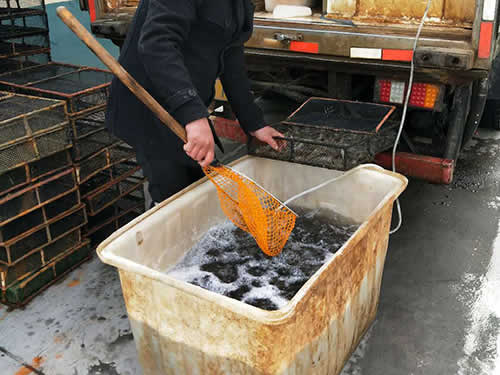 捕蝦現(xiàn)場(chǎng)08