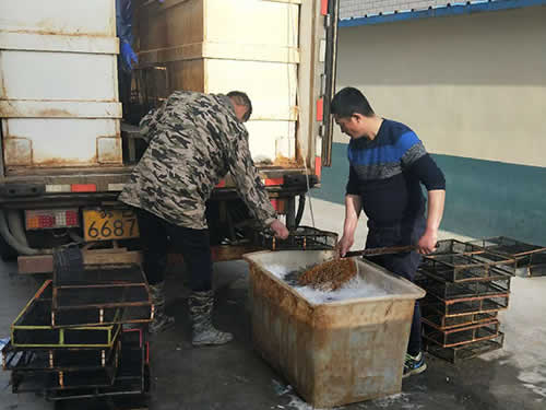 捕蝦現(xiàn)場(chǎng)07