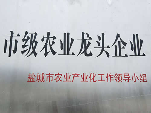 市級農(nóng)業(yè)龍頭企業(yè)